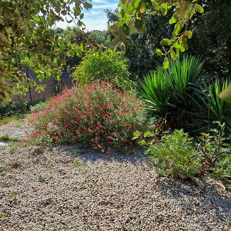 Le Calme De La Garrigue Bed & Breakfast Russan Luaran gambar