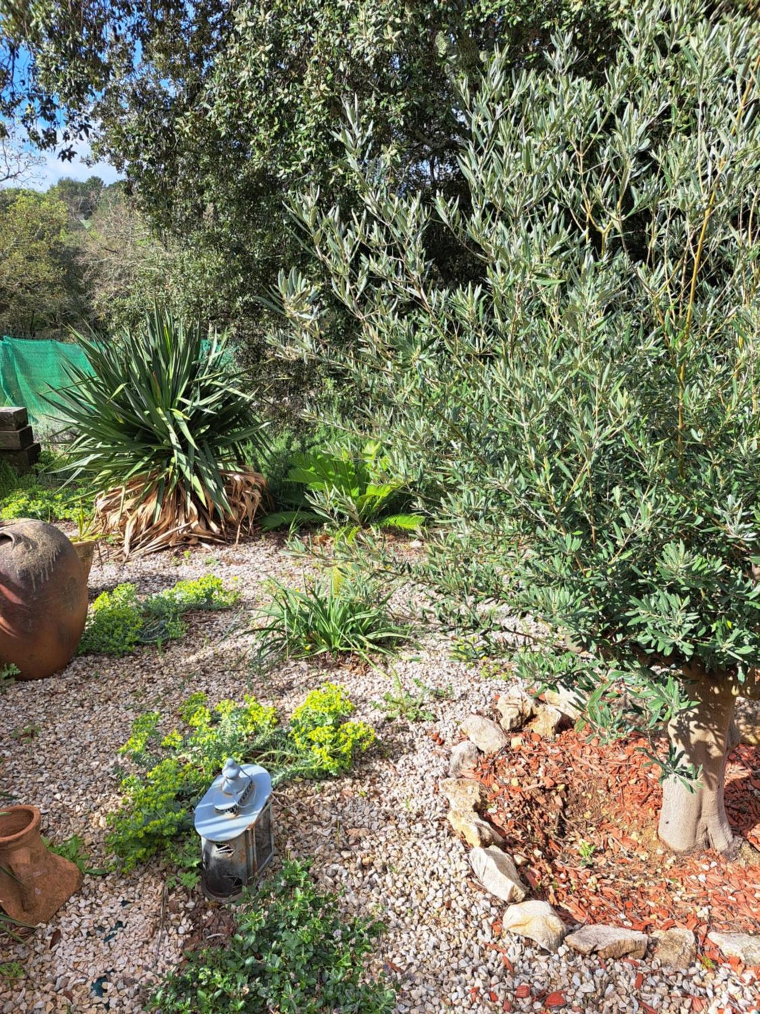 Le Calme De La Garrigue Bed & Breakfast Russan Luaran gambar