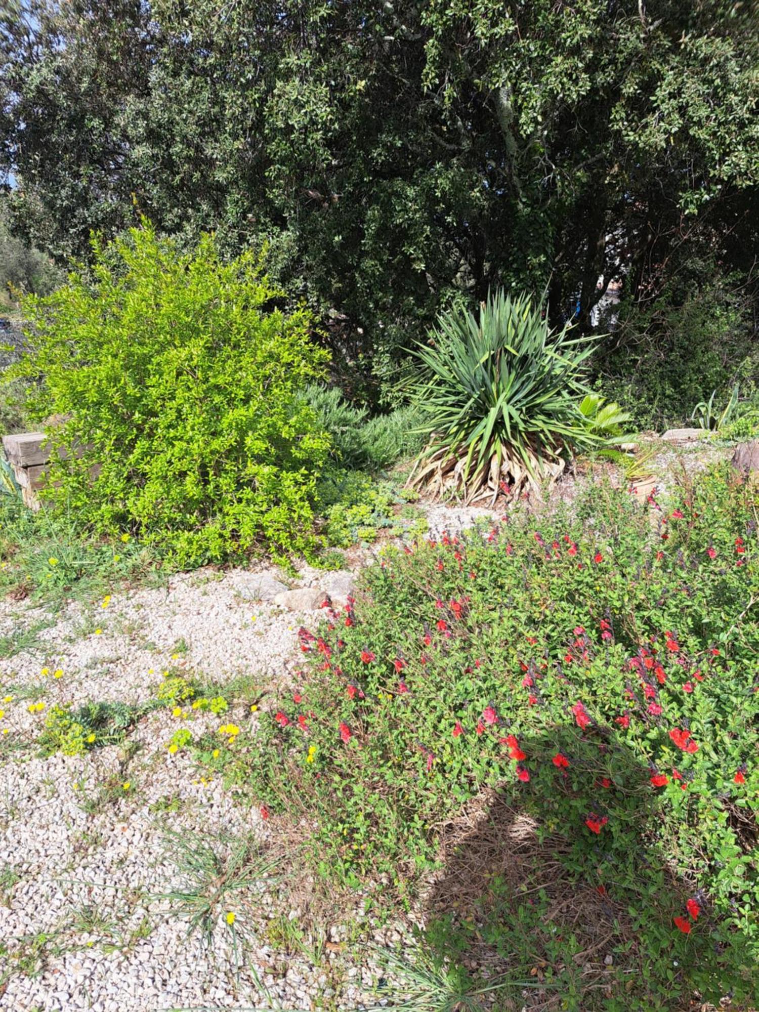 Le Calme De La Garrigue Bed & Breakfast Russan Luaran gambar