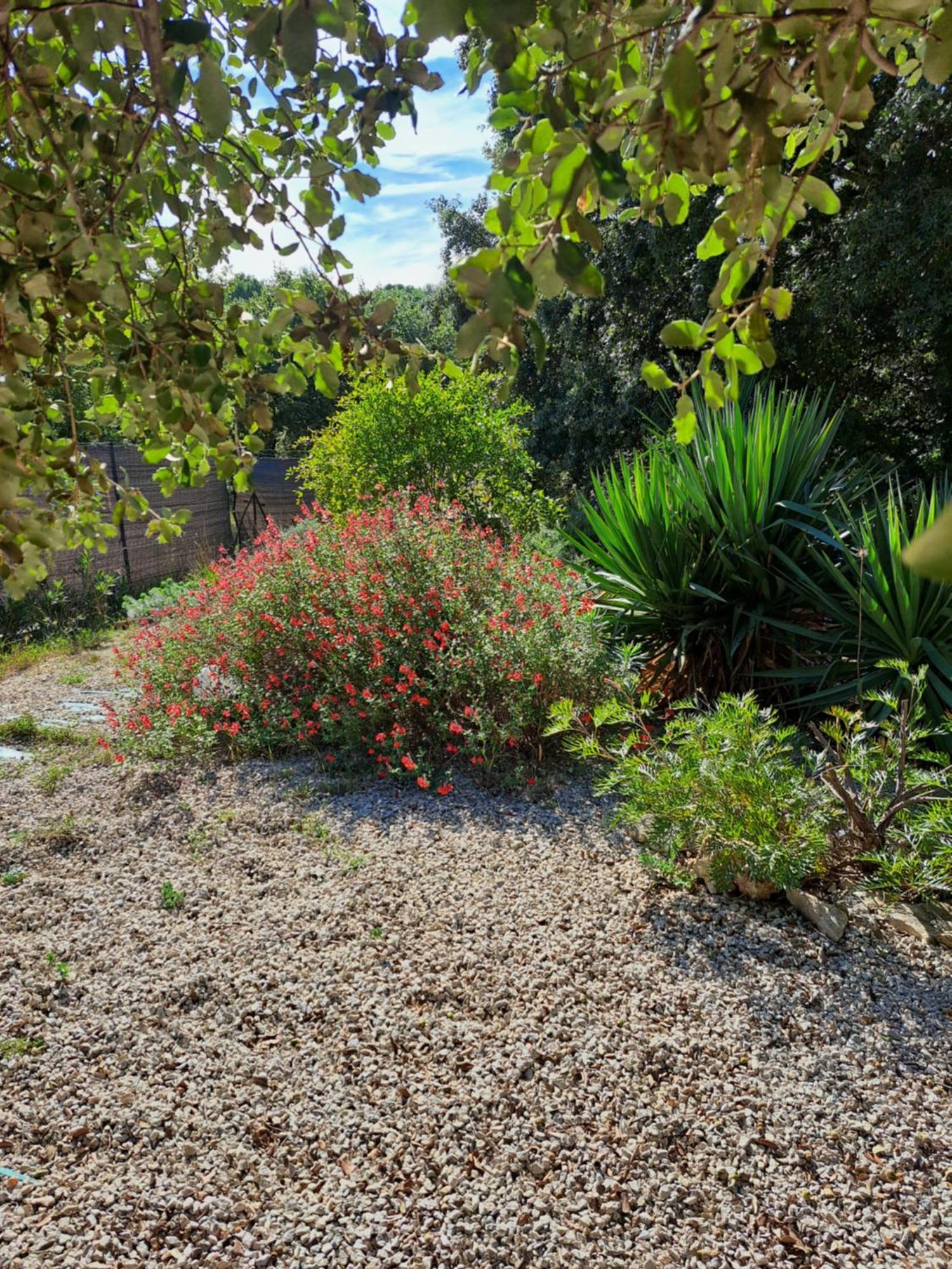 Le Calme De La Garrigue Bed & Breakfast Russan Luaran gambar