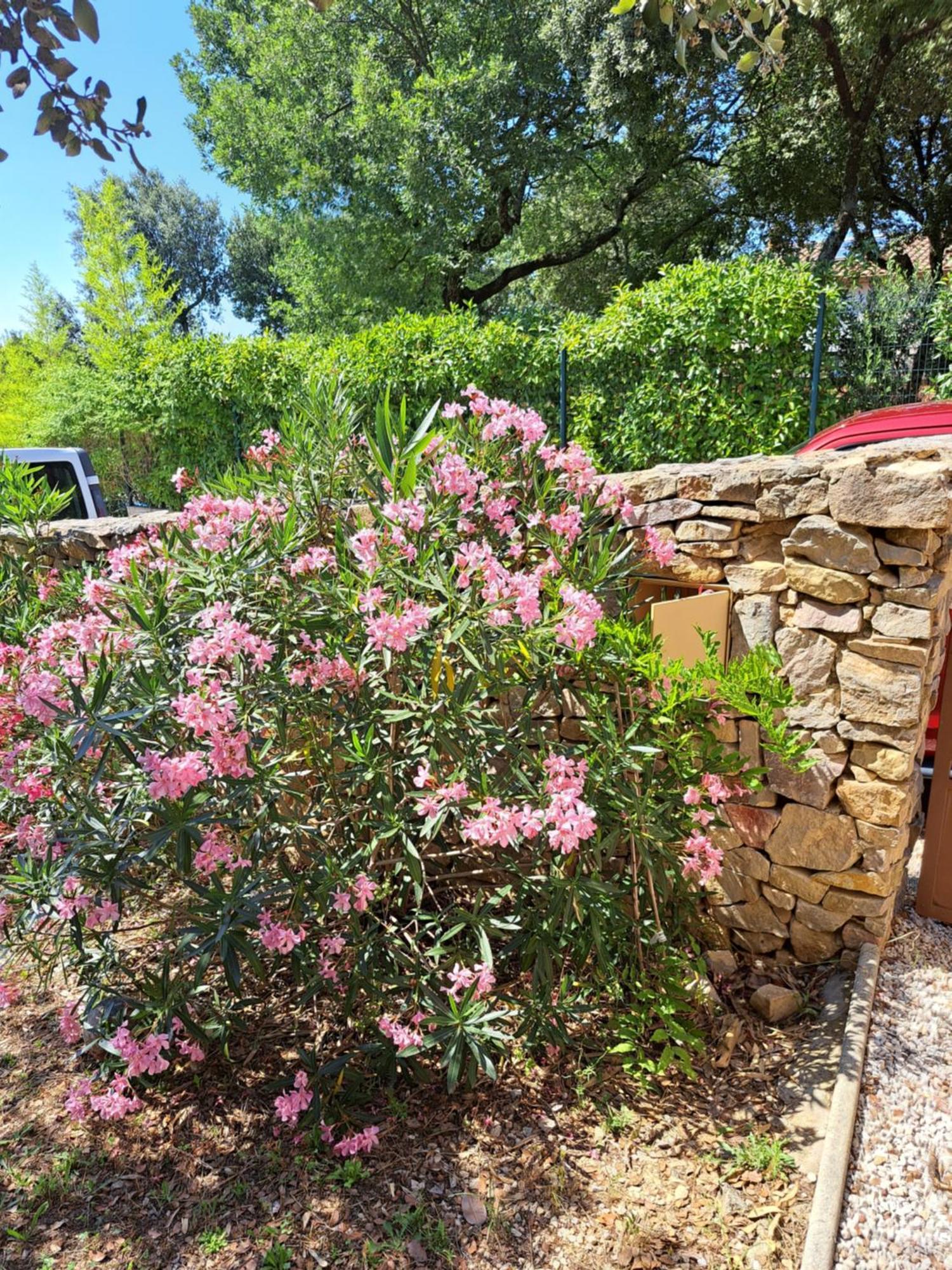 Le Calme De La Garrigue Bed & Breakfast Russan Luaran gambar